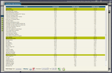 <em>Downtime Reports - Downtime Daily Summary Report</em>